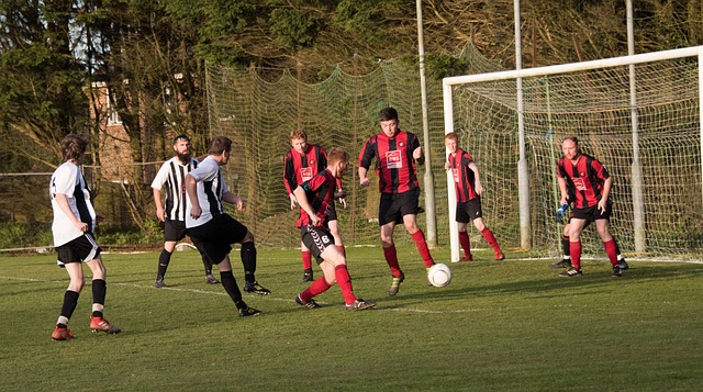 不仅帮助提 不仅帮助提