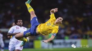 中国女排 中国女排