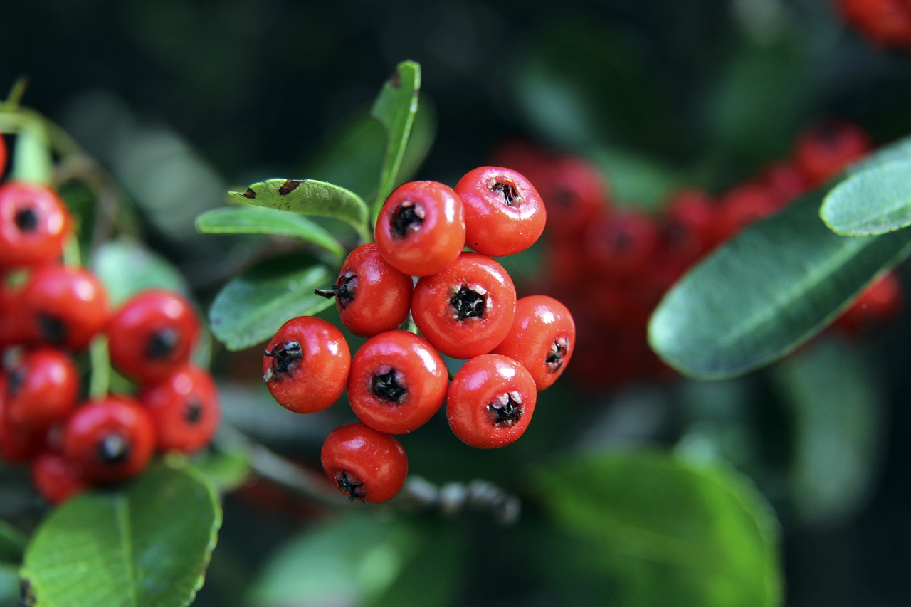 為東山再起 為東山再起