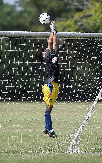 南安普頓成為英超首支降級球隊！.