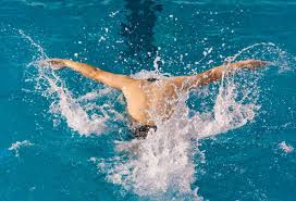 谊的象征 谊的象征