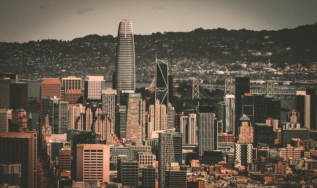 球迷的较量 球迷的较量