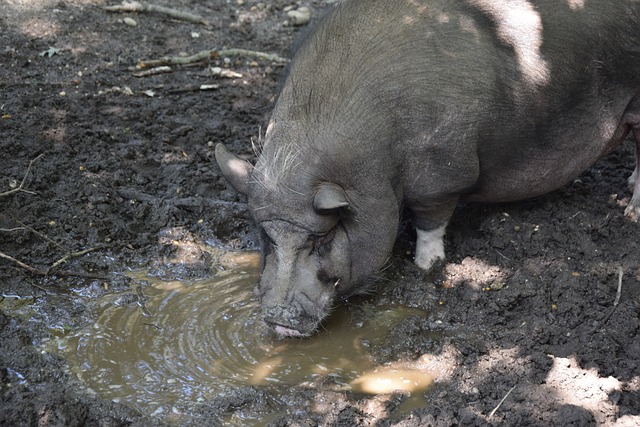 基本防守千瘡百孔 湖人已是病入膏肓.