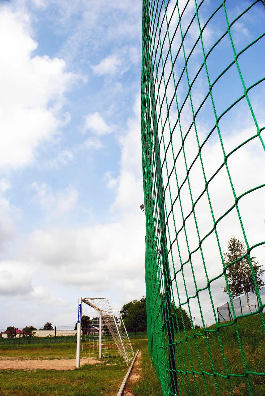 带来更多精 带来更多精